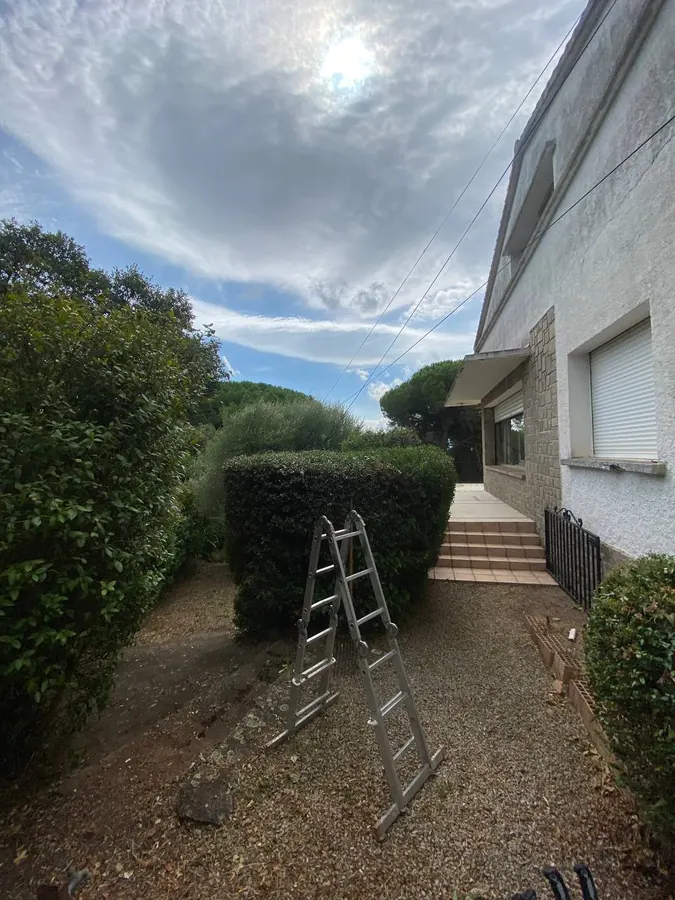 Haie de lauriers taillée en boule avec une échelle posée contre, devant une villa à Nans-les-Pins